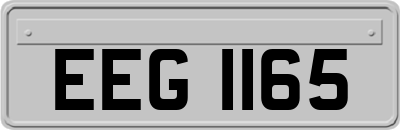 EEG1165