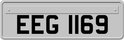 EEG1169