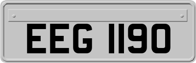 EEG1190