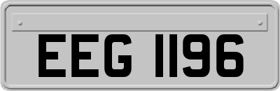 EEG1196