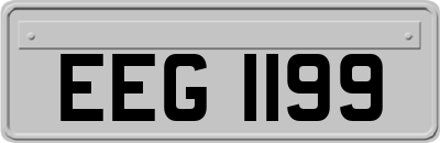 EEG1199