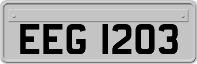 EEG1203