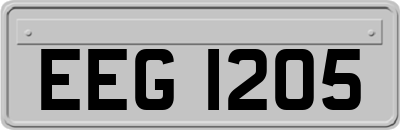 EEG1205