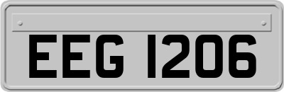 EEG1206