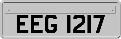 EEG1217