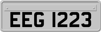 EEG1223