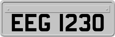 EEG1230