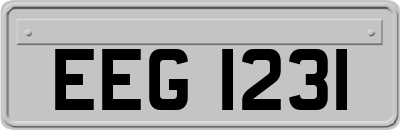 EEG1231