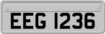 EEG1236