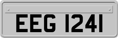 EEG1241