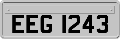 EEG1243