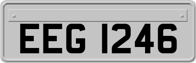EEG1246