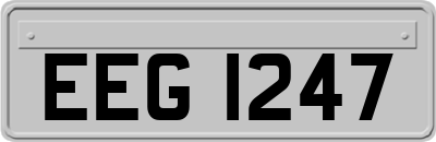 EEG1247