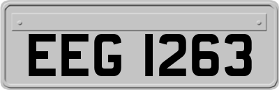 EEG1263