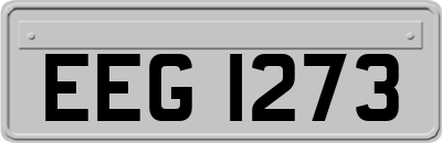 EEG1273