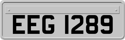 EEG1289
