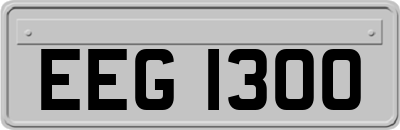 EEG1300