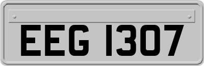 EEG1307