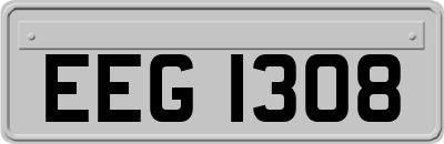 EEG1308