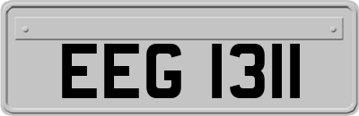 EEG1311