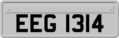 EEG1314