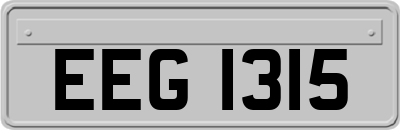 EEG1315