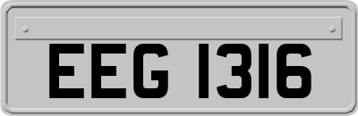 EEG1316