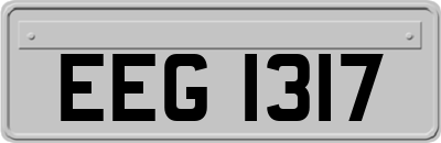 EEG1317