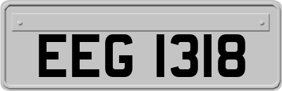 EEG1318