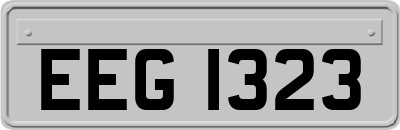 EEG1323