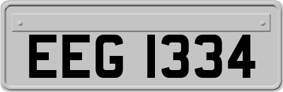 EEG1334
