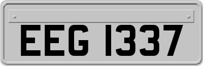 EEG1337