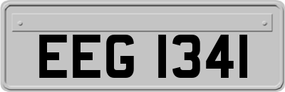 EEG1341