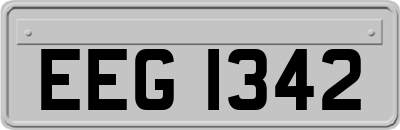EEG1342
