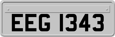 EEG1343