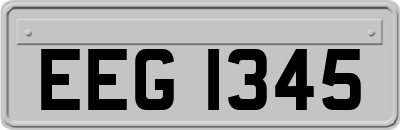 EEG1345