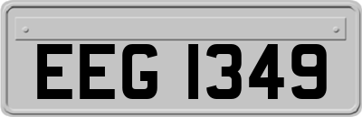 EEG1349