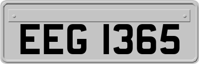 EEG1365