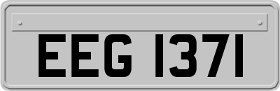 EEG1371