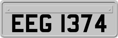 EEG1374
