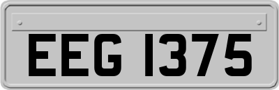 EEG1375