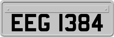EEG1384
