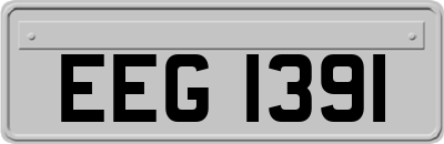 EEG1391