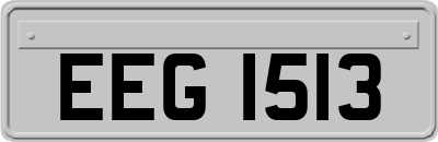 EEG1513