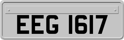 EEG1617