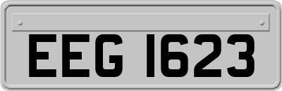 EEG1623