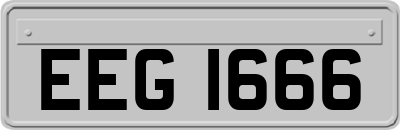 EEG1666