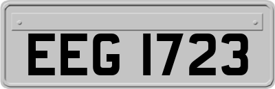EEG1723
