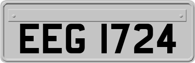 EEG1724