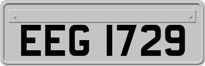 EEG1729